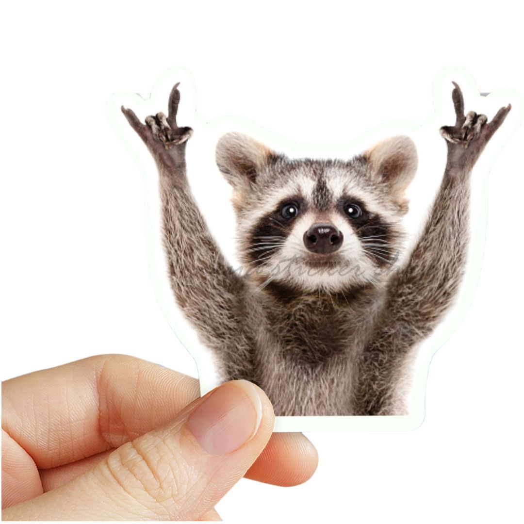 Raccoon sticker Sticker for Sale by GriffDesigns