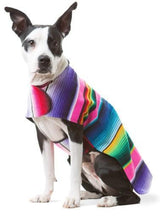 BAP Serape Dog Poncho -  - Pets - Feliz Modern