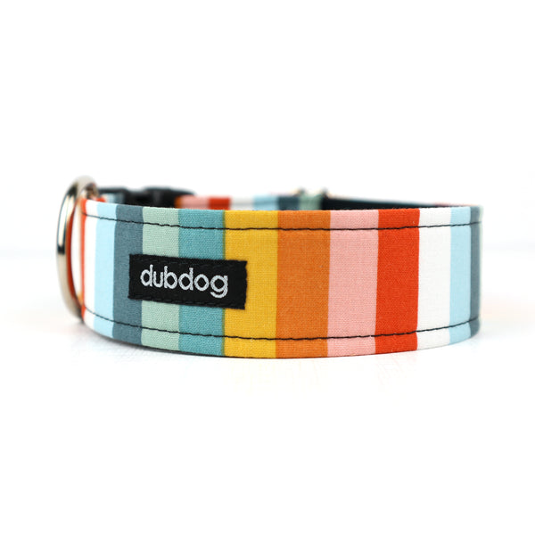 DBDG* Striped Dog Collar -  - Pets - Feliz Modern