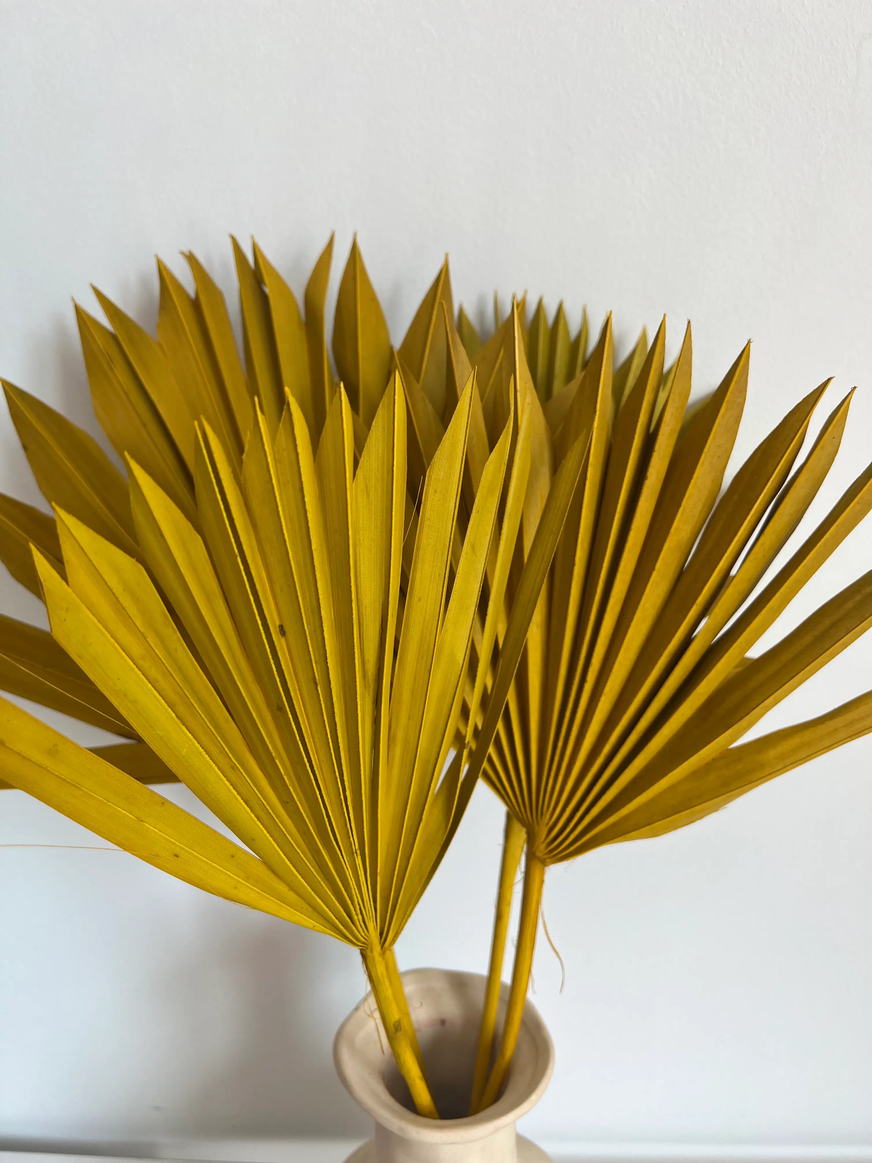 yellow_sun_1.webp?v=1656509111