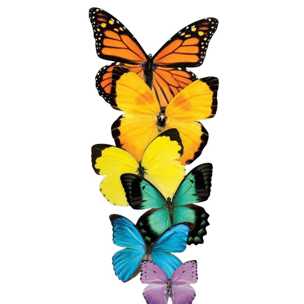 PRPHS Butterfly Card -  - Cards - Feliz Modern
