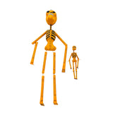 *VIVG Day of the Dead Skeleton - - Decor Objects - Feliz Modern