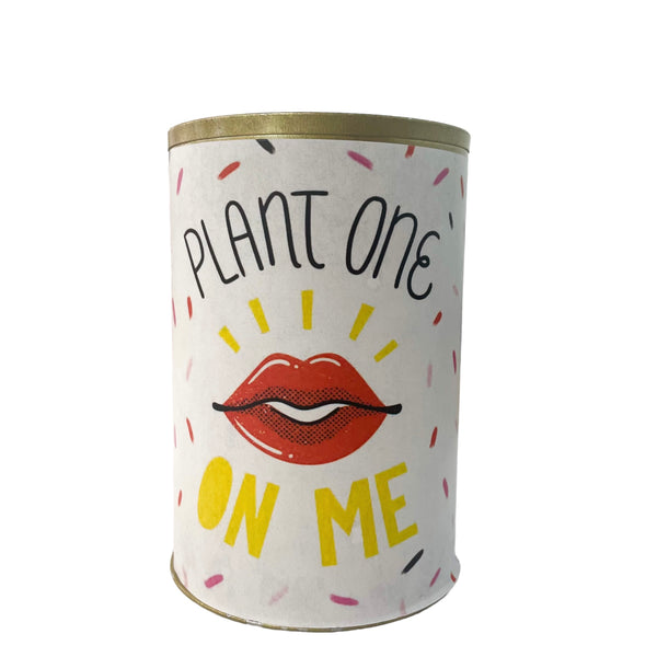 ACD Plant One On Me Can -  - Vases & Planters - Feliz Modern