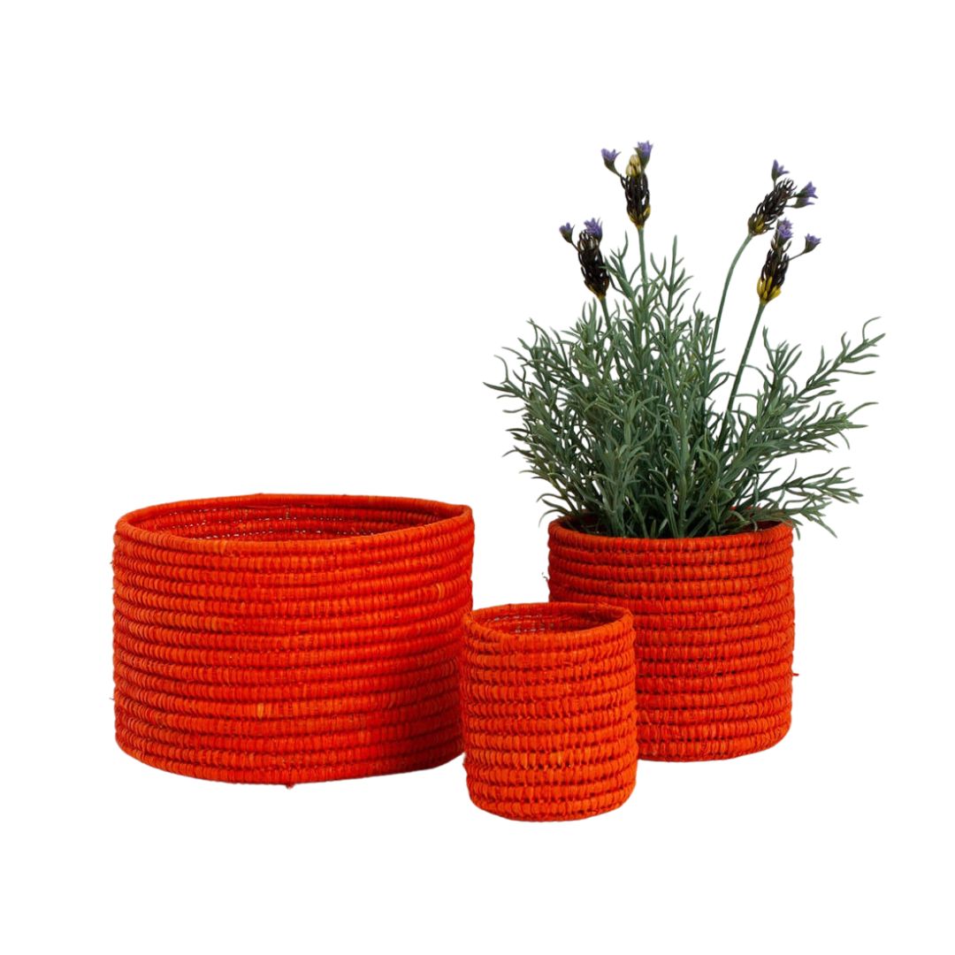 BDW* Raffia Storage Pots (Set of 3) – Feliz Modern