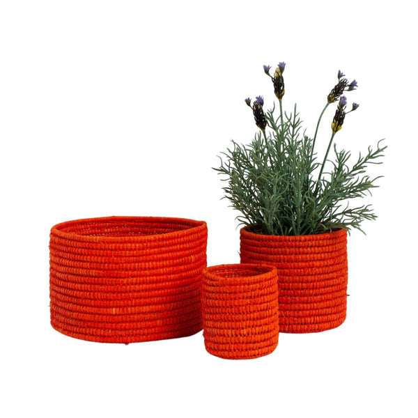 BDW* Raffia Storage Pots (Set of 3) -  - Vases & Planters - Feliz Modern