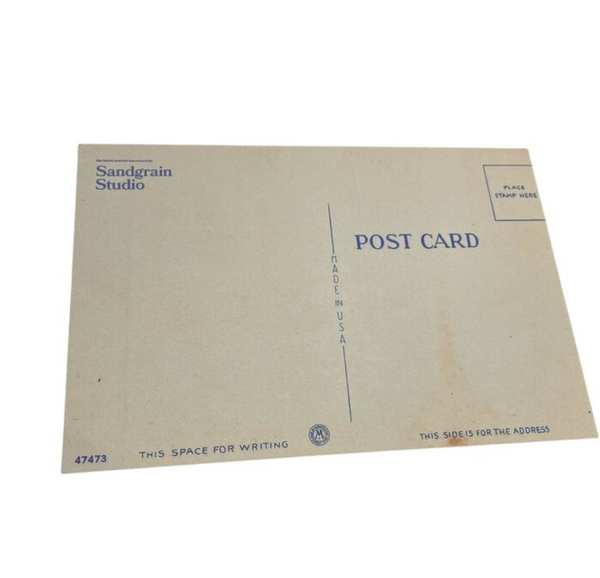 SDGRN White Christmas Postcard