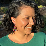 EUM Burro Piñatas Earrings - - Earrings - Feliz Modern