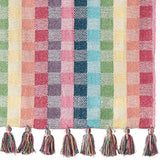 SRVI Rainbow Gingham Throw Blanket - - Pillows & Throws - Feliz Modern