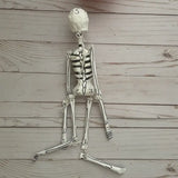 *VIVG Calavera Day of the Dead Skeleton - - Decor Objects - Feliz Modern