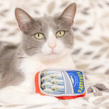 *HXK Sardine Tin Cat Toy - - Pets - Feliz Modern