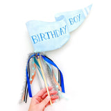 CMMT Birthday Boy Party Pennant -  - Party Supplies - Feliz Modern