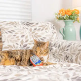 *HXK Sardine Tin Cat Toy - - Pets - Feliz Modern