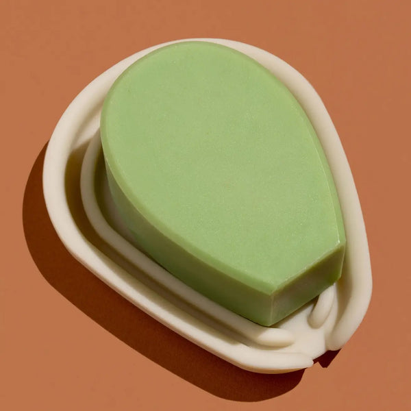 NOPA Cactus Soap Dish - - Beauty & Wellness - Feliz Modern