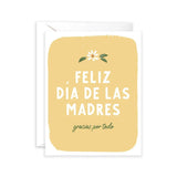 IMGC Happy Mother's Day Gracias Por Todo Card -  - Cards - Feliz Modern