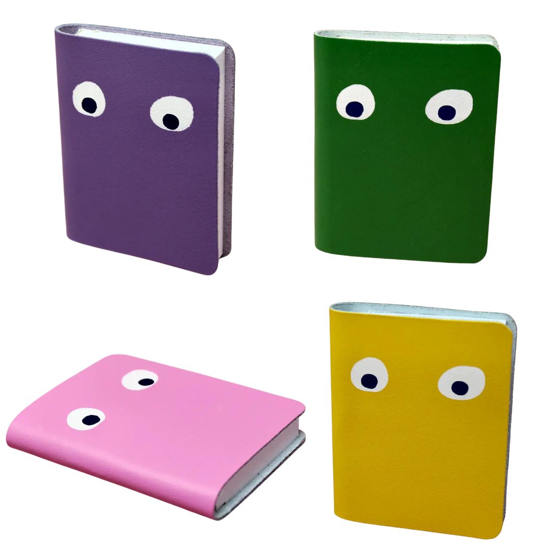 AKCD* Googly Eye Mini Notebook – Feliz Modern