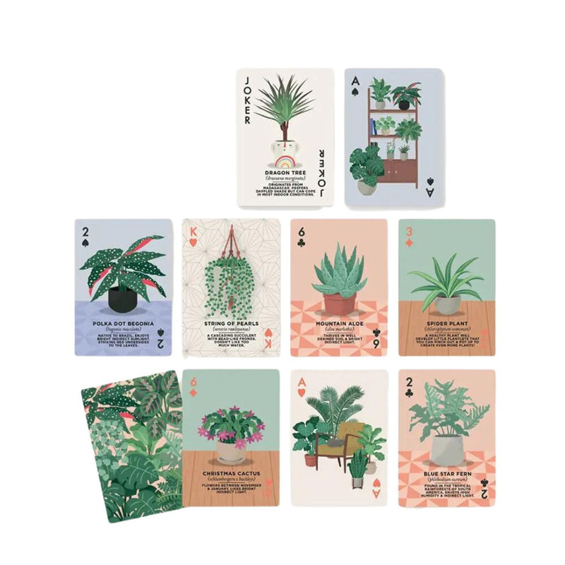 RSGS Houseplants Playing Cards -  - Games - Feliz Modern