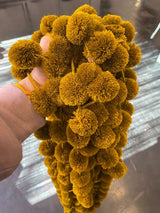 DAI Golden Olive Colored Pom Strand - - Garlands - Feliz Modern