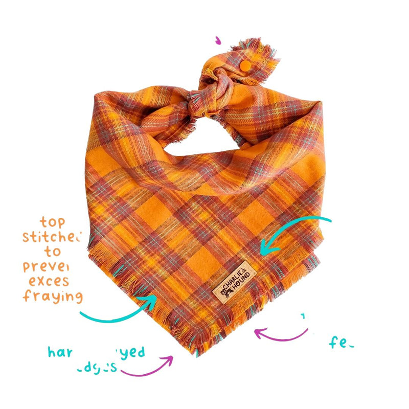 CATH Orange Checkered Dog Bandana -  - Pets - Feliz Modern