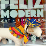 MAPC Serape Pet Bandana -  - Pets - Feliz Modern