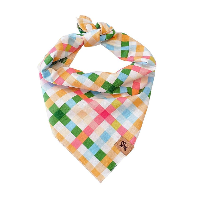 CATH Spring Checkered Dog Bandana -  - Pets - Feliz Modern