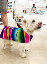 BAP Serape Dog Poncho -  - Pets - Feliz Modern