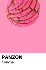 NAT Panzon 11 x 14  Print - Concha Print - Art - Feliz Modern