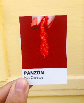 NAT Panzon Sticker - Hot Cheeto - Stickers - Feliz Modern