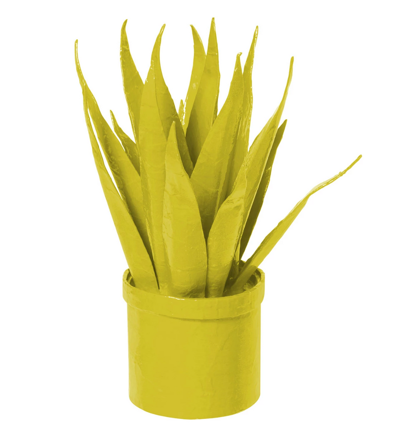 SDD* Mother-in-Law Tongue (curbside or in-store only) - Chartreuse - Vases & Planters - Feliz Modern