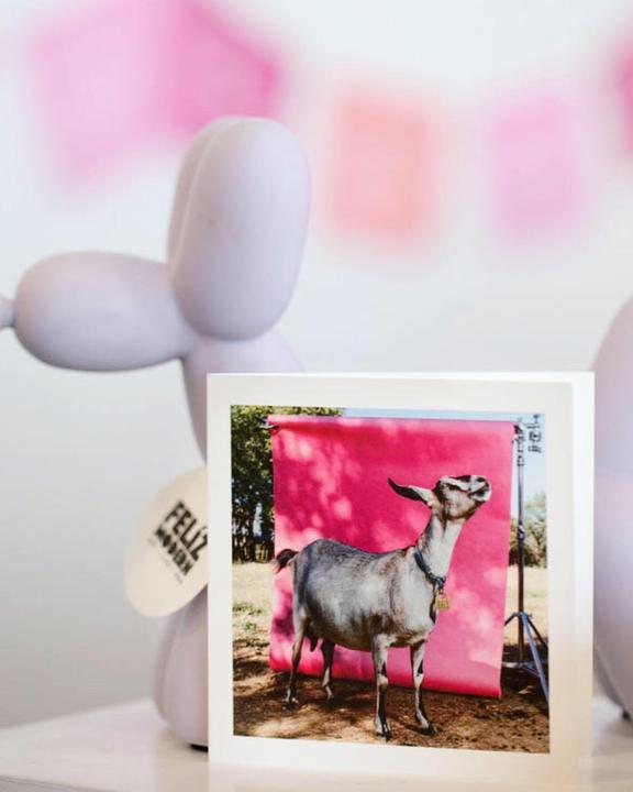 JHU* Josh Huskin art card - Carla the Goat - Cards - Feliz Modern