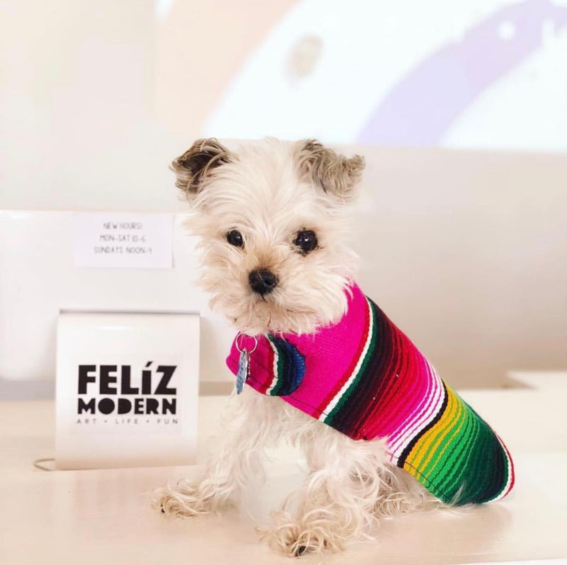 BAP Serape Dog Poncho -  - Pets - Feliz Modern