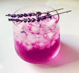 BXTO Bexar Tonics (Curbside Pick Up/In Store only) -  - Treats - Feliz Modern