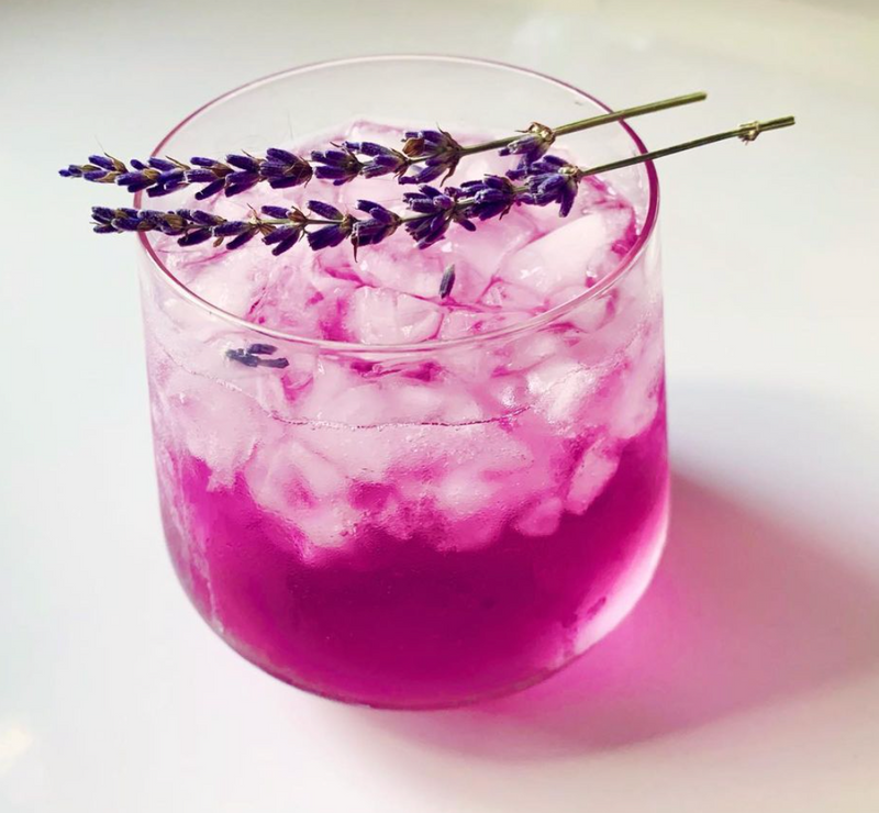 BXTO Bexar Tonics (Curbside Pick Up/In Store only) -  - Treats - Feliz Modern