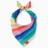TFD* Over the Rainbow Dog Bandana -  - Pets - Feliz Modern