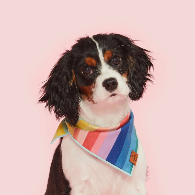 TFD* Over the Rainbow Dog Bandana -  - Pets - Feliz Modern