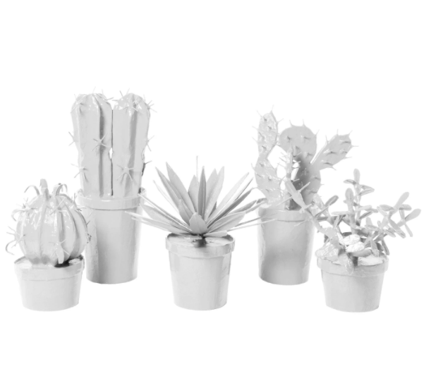 SDD* White Cactus Decor (curbside or in-store) -  - Decor Objects - Feliz Modern