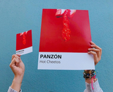 NAT Panzon 4x6 Print - Hot Cheetos - Art - Feliz Modern