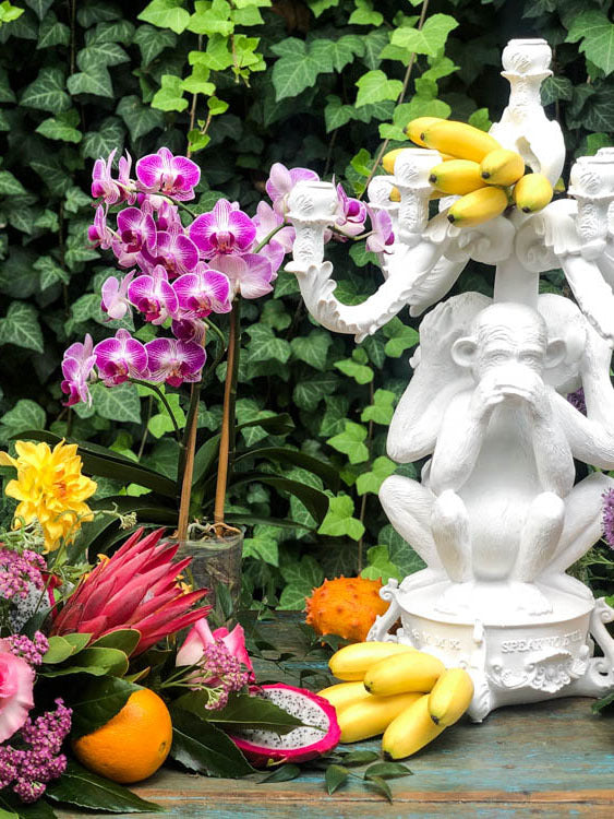 SLTI* No Evil Monkey Candelabra Burlesque (curbside only, no shipping) -  - Lighting - Feliz Modern