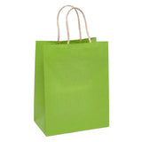 PMRT 6 x 8 Stripe Gift Bag - Green Apple - Gifting Supplies - Feliz Modern