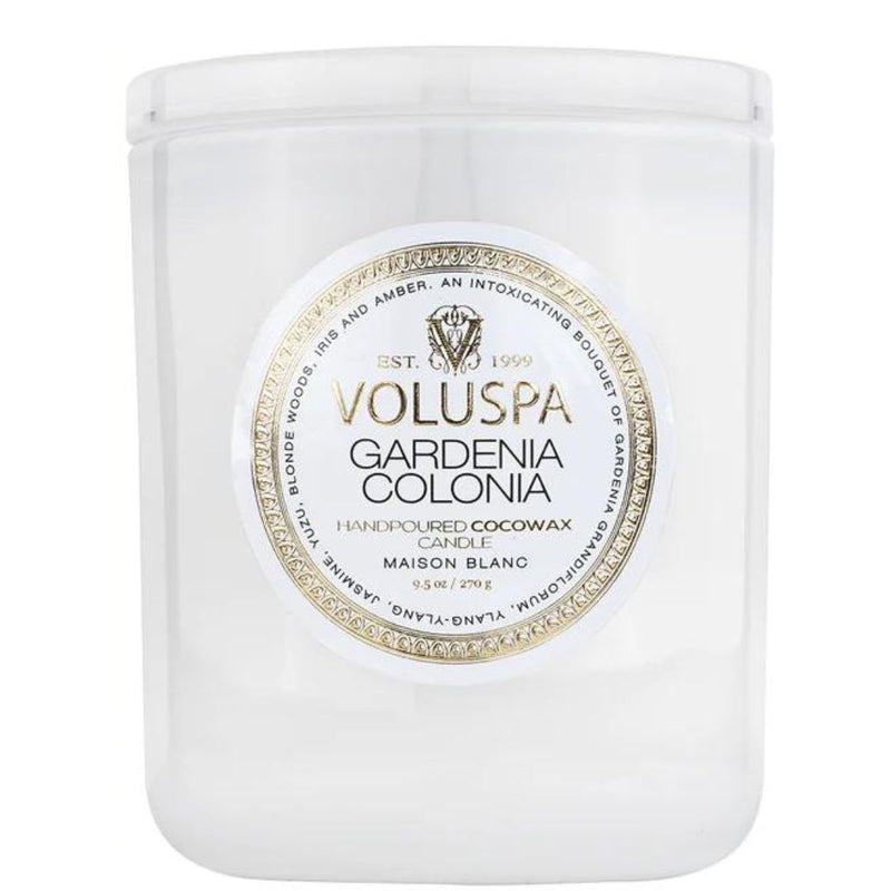VLSPA* Gardenia Scent Candle Collection - Regular - Candles - Feliz Modern