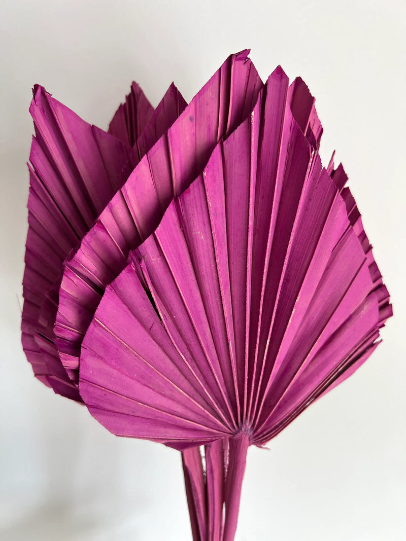 SLV* Dried Palm Floral Decor (Curbside & In-Store Only) - Fuchsia - Palm Spear - Decor Objects - Feliz Modern