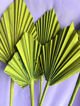 SLV* Dried Palm Floral Decor (Curbside & In-Store Only) -  - Decor Objects - Feliz Modern