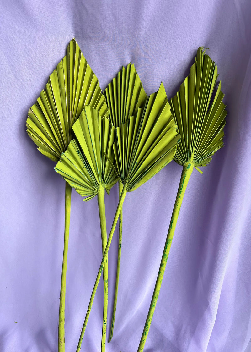 SLV* Dried Palm Floral Decor (Curbside & In-Store Only) - Green - Palm Spear - Decor Objects - Feliz Modern