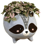 STRL Raccoon Planter -  - Vases & Planters - Feliz Modern