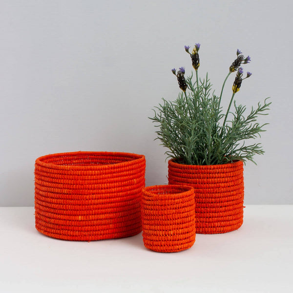 BDW* Raffia Storage Pots (Set of 3) -  - Vases & Planters - Feliz Modern