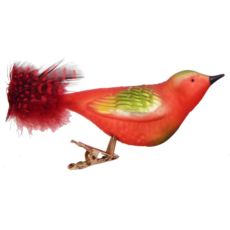 CHBK Clip On Glass Bird - Red Belly Bird w Red Feather - Christmas - Feliz Modern