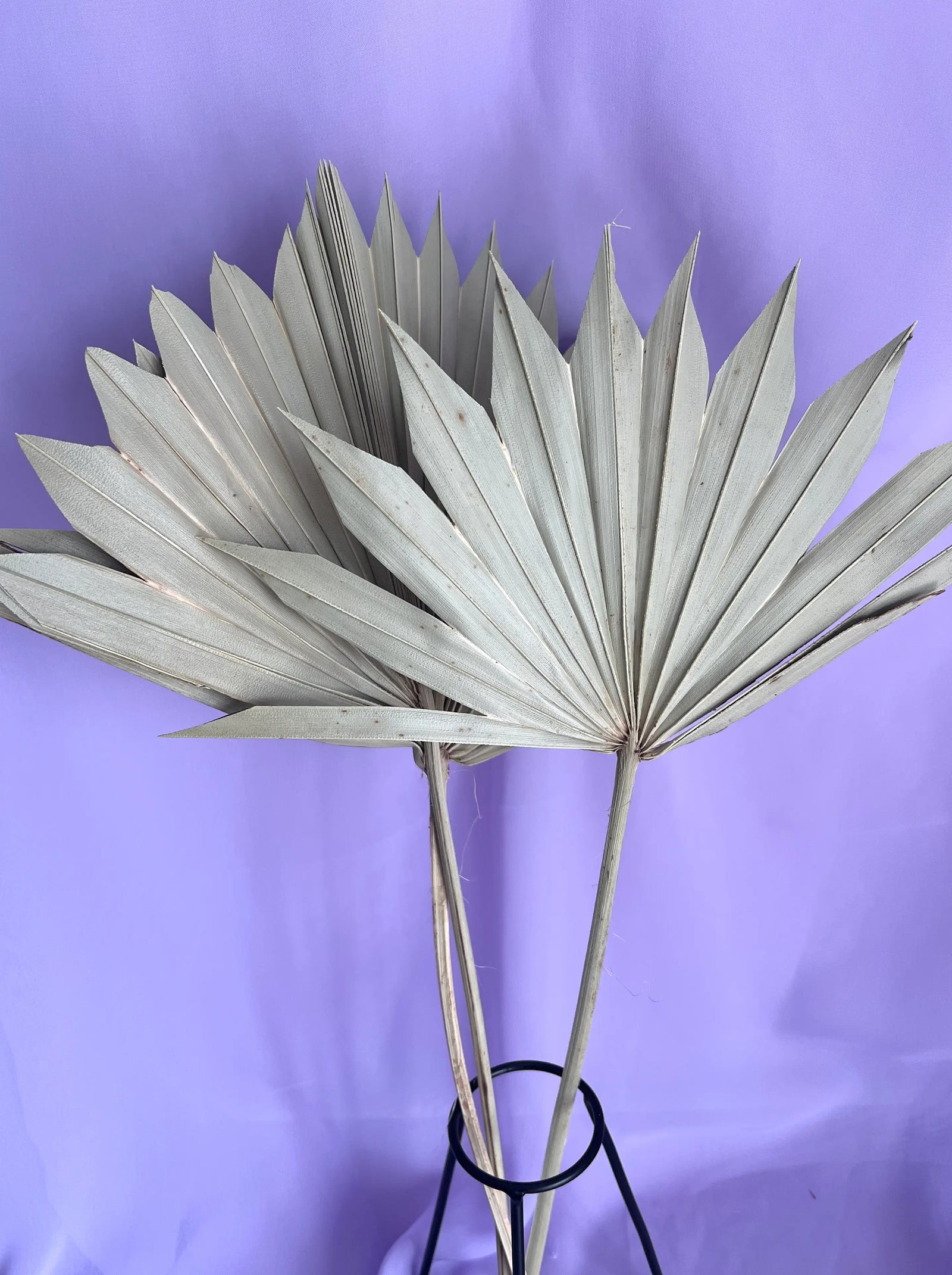 SLV* Palm Leaf Decor (Curbside & In-Store Only)