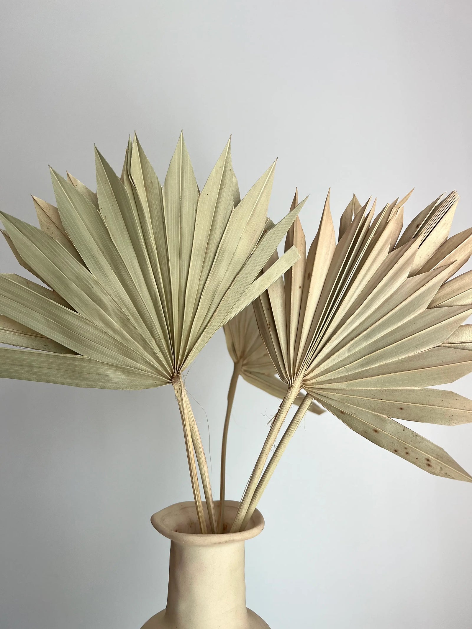 SLV* Palm Leaf Decor (Curbside & In-Store Only)
