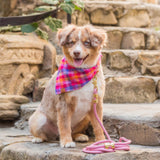 TFD* Sunset Flannel Dog Bandana -  - Pets - Feliz Modern