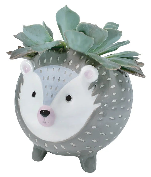 STRL Hedgehog Planter -  - Vases & Planters - Feliz Modern