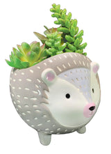 STRL Hedgehog Planter -  - Vases & Planters - Feliz Modern